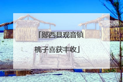 郧西县观音镇桃子喜获丰收
