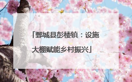 鄄城县彭楼镇：设施大棚赋能乡村振兴