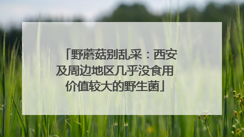 野蘑菇别乱采：西安及周边地区几乎没食用价值较大的野生菌