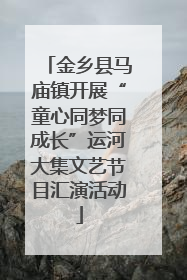 金乡县马庙镇开展“童心同梦同成长”运河大集文艺节目汇演活动