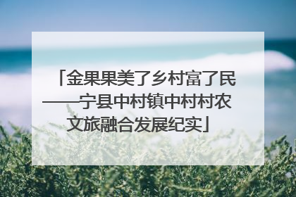 金果果美了乡村富了民——宁县中村镇中村村农文旅融合发展纪实