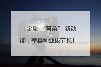 金融 “育苗” 新动能，莘县种业拔节长