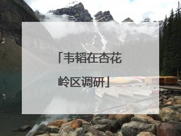 韦韬在杏花岭区调研