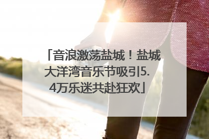 音浪激荡盐城！盐城大洋湾音乐节吸引5.4万乐迷共赴狂欢