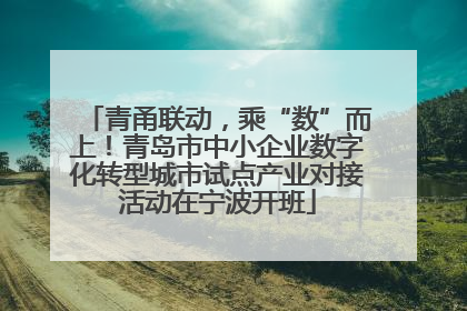 青甬联动，乘“数”而上！青岛市中小企业数字化转型城市试点产业对接活动在宁波开班