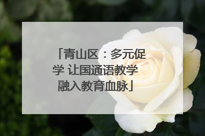 青山区：多元促学 让国通语教学融入教育血脉