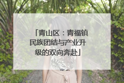 青山区：青福镇民族团结与产业升级的双向奔赴