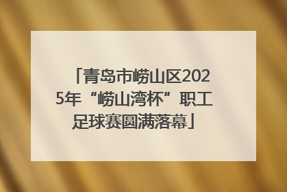 青岛市崂山区2025年“崂山湾杯”职工足球赛圆满落幕