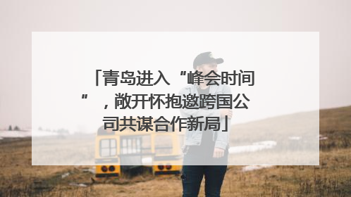 青岛进入“峰会时间”，敞开怀抱邀跨国公司共谋合作新局