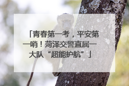 青春第一考，平安第一哨！菏泽交警直属一大队“超能护航”