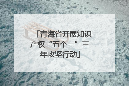 青海省开展知识产权“五个一”三年攻坚行动