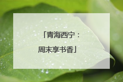 青海西宁：周末享书香