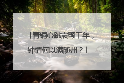 青铜心跳震颤千年，钟情何以满随州？