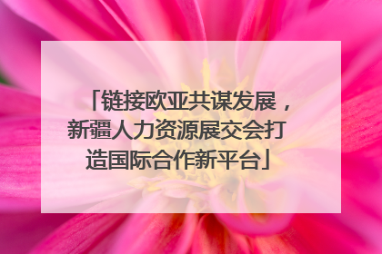链接欧亚共谋发展，新疆人力资源展交会打造国际合作新平台