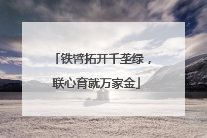 铁臂拓开千垄绿，联心育就万家金