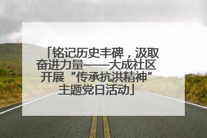 铭记历史丰碑，汲取奋进力量——大成社区开展“传承抗洪精神”主题党日活动
