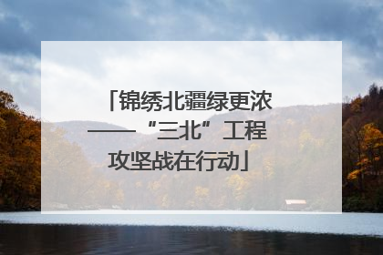锦绣北疆绿更浓——“三北”工程攻坚战在行动
