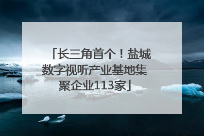 长三角首个！盐城数字视听产业基地集聚企业113家