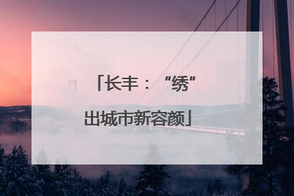 长丰：“绣”出城市新容颜