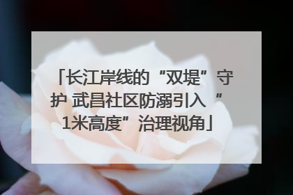 长江岸线的“双堤”守护 武昌社区防溺引入“1米高度”治理视角