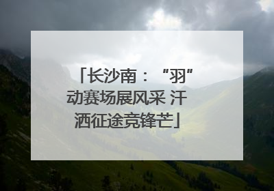长沙南：“羽”动赛场展风采 汗洒征途竞锋芒