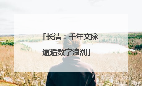 长清：千年文脉邂逅数字浪潮