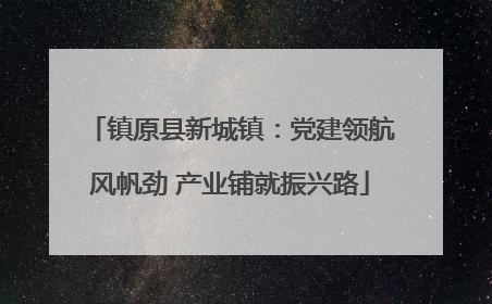 镇原县新城镇：党建领航风帆劲 产业铺就振兴路