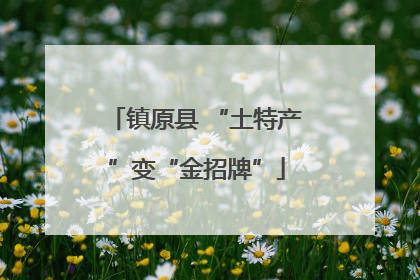 镇原县 “土特产”变“金招牌”