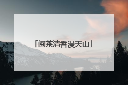 闽茶清香漫天山