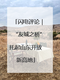 闪电评论｜“友城之桥”托起山东开放新高地