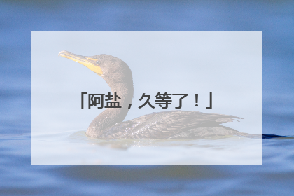 阿盐，久等了！