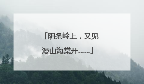 阴条岭上，又见漫山海棠开……