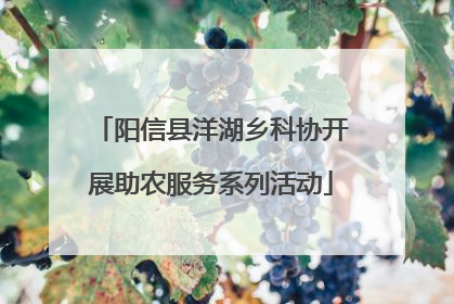 阳信县洋湖乡科协开展助农服务系列活动