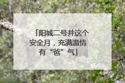 阳城二号井这个安全月，充满温情有“爸”气