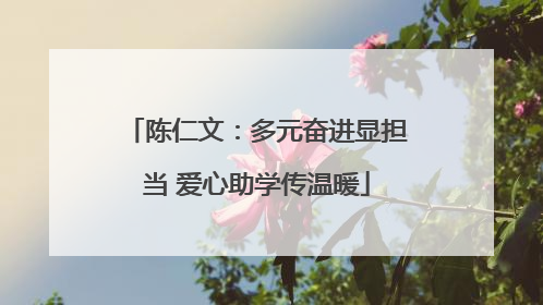 陈仁文：多元奋进显担当 爱心助学传温暖