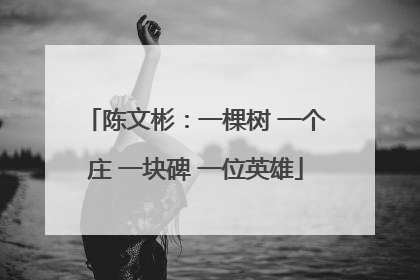 陈文彬：一棵树 一个庄 一块碑 一位英雄