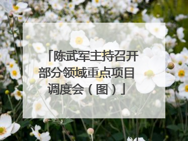 陈武军主持召开部分领域重点项目调度会（图）