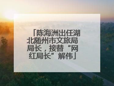 陈海洲出任湖北随州市文旅局局长，接替“网红局长”解伟