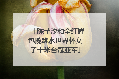 陈芋汐和全红婵包揽跳水世界杯女子十米台冠亚军