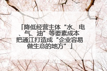 降低经营主体“水、电、气、油”等要素成本 把通江打造成“企业容易做生意的地方”