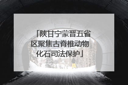 陕甘宁蒙晋五省区聚焦古脊椎动物化石司法保护
