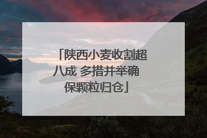 陕西小麦收割超八成 多措并举确保颗粒归仓