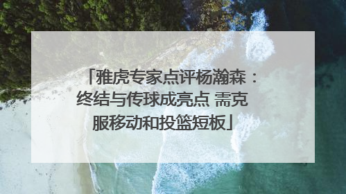 雅虎专家点评杨瀚森：终结与传球成亮点 需克服移动和投篮短板