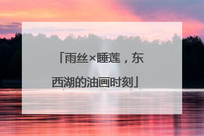 雨丝×睡莲，东西湖的油画时刻