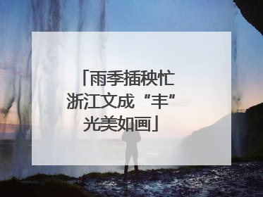 雨季插秧忙 浙江文成“丰”光美如画