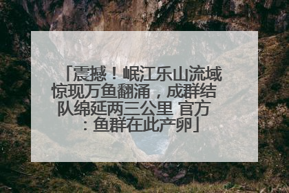 震撼！岷江乐山流域惊现万鱼翻涌，成群结队绵延两三公里 官方：鱼群在此产卵