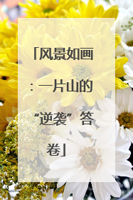 风景如画：一片山的“逆袭”答卷