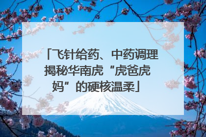 飞针给药、中药调理 揭秘华南虎“虎爸虎妈”的硬核温柔