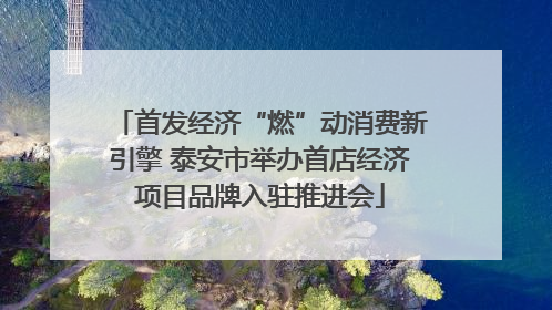 首发经济“燃”动消费新引擎 泰安市举办首店经济项目品牌入驻推进会