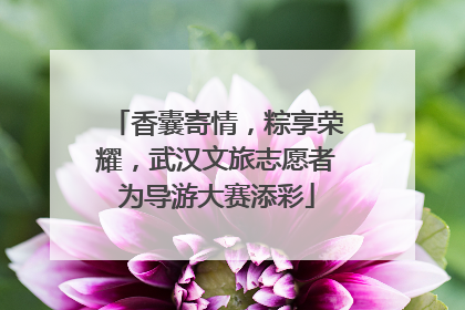 香囊寄情，粽享荣耀，武汉文旅志愿者为导游大赛添彩